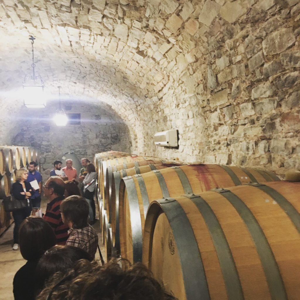 bodega vino